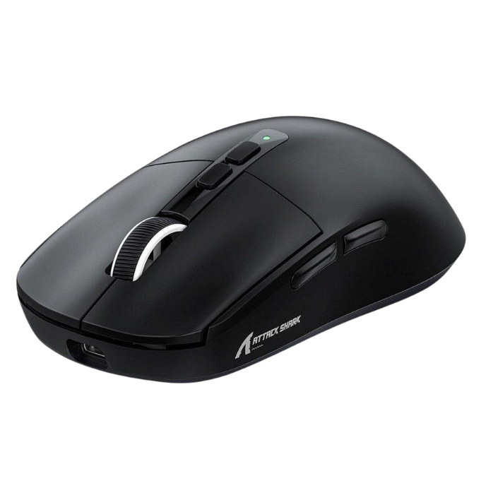 Mouse